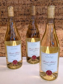 Pinot Blanc